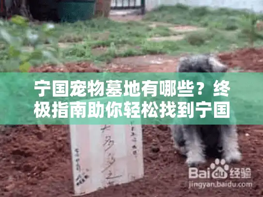 宁国宠物墓地有哪些？终极指南助你轻松找到宁国宠物安葬服务推荐