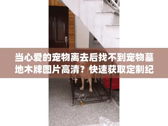当心爱的宠物离去后找不到宠物墓地木牌图片高清？快速获取定制纪念指南