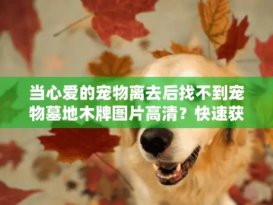 当心爱的宠物离去后找不到宠物墓地木牌图片高清？快速获取定制纪念指南