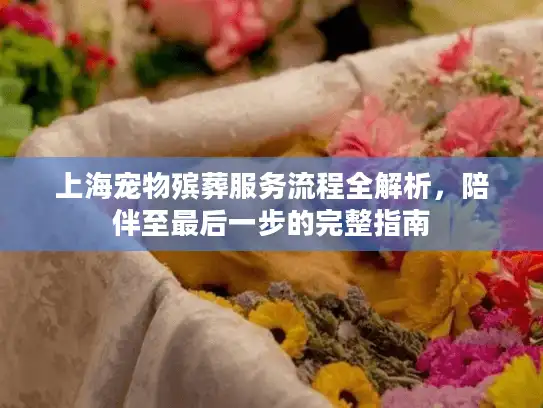 上海宠物殡葬服务流程全解析，陪伴至最后一步的完整指南
