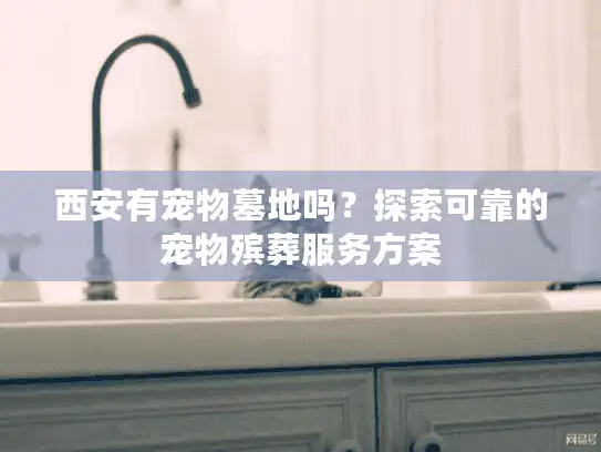 西安有宠物墓地吗？探索可靠的宠物殡葬服务方案