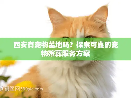西安有宠物墓地吗？探索可靠的宠物殡葬服务方案