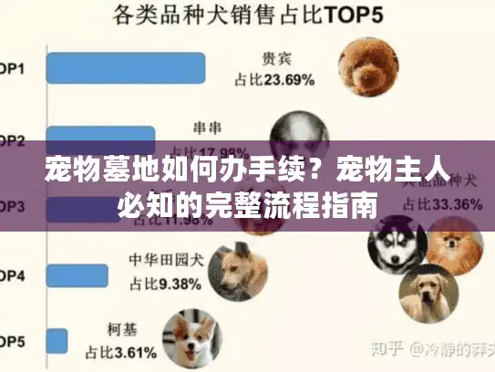 宠物墓地如何办手续？宠物主人必知的完整流程指南