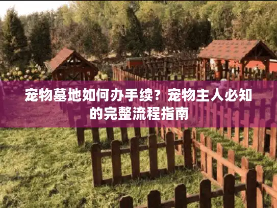 宠物墓地如何办手续？宠物主人必知的完整流程指南