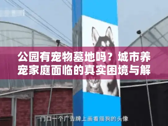 公园有宠物墓地吗？城市养宠家庭面临的真实困境与解决途径