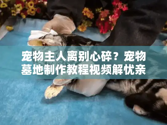 宠物主人离别心碎？宠物墓地制作教程视频解忧亲自安葬