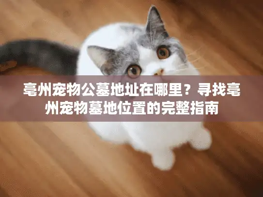 亳州宠物公墓地址在哪里？寻找亳州宠物墓地位置的完整指南