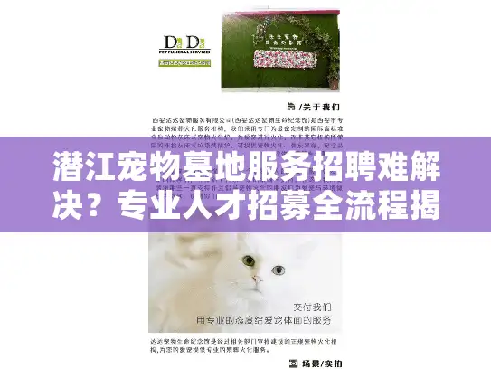 潜江宠物墓地服务招聘难解决？专业人才招募全流程揭秘