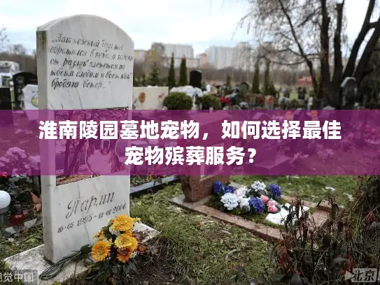 淮南陵园墓地宠物，如何选择最佳宠物殡葬服务？