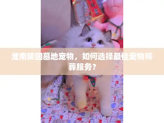 淮南陵园墓地宠物，如何选择最佳宠物殡葬服务？