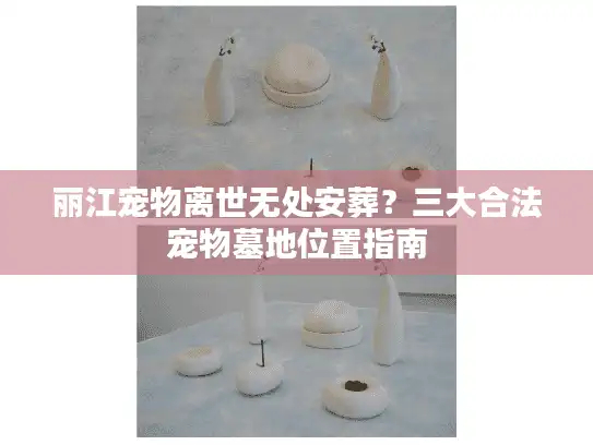 丽江宠物离世无处安葬？三大合法宠物墓地位置指南