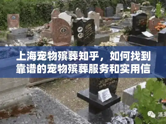 上海宠物殡葬知乎，如何找到靠谱的宠物殡葬服务和实用信息？