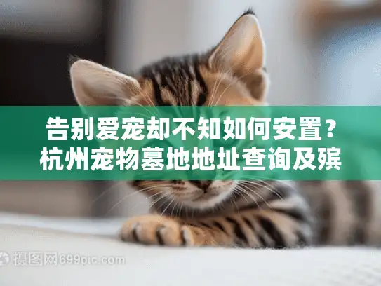 告别爱宠却不知如何安置？杭州宠物墓地地址查询及殡葬服务全指南