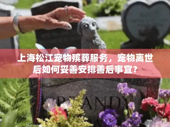 上海松江宠物殡葬服务，宠物离世后如何妥善安排善后事宜？