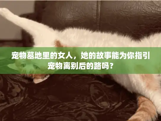 宠物墓地里的女人，她的故事能为你指引宠物离别后的路吗？