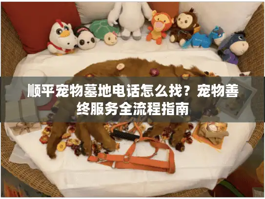 顺平宠物墓地电话怎么找？宠物善终服务全流程指南