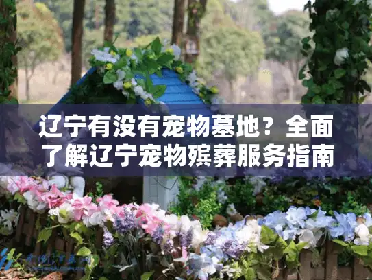 辽宁有没有宠物墓地？全面了解辽宁宠物殡葬服务指南