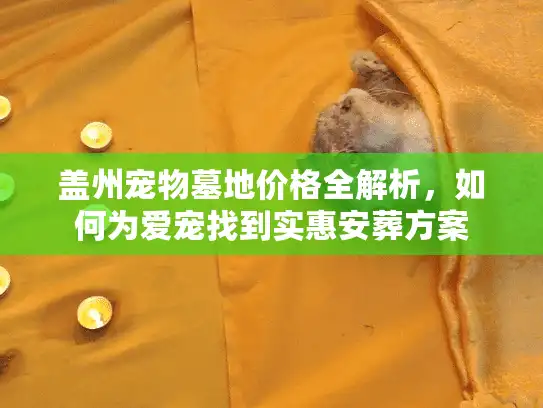 盖州宠物墓地价格全解析，如何为爱宠找到实惠安葬方案