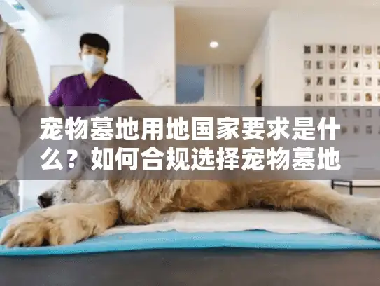 宠物墓地用地国家要求是什么？如何合规选择宠物墓地？