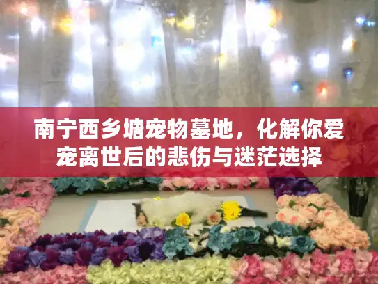 南宁西乡塘宠物墓地，化解你爱宠离世后的悲伤与迷茫选择