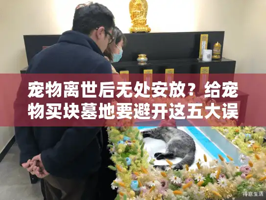 宠物离世后无处安放？给宠物买块墓地要避开这五大误区