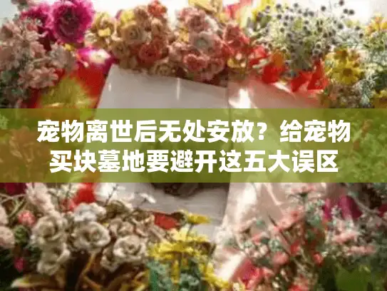 宠物离世后无处安放？给宠物买块墓地要避开这五大误区