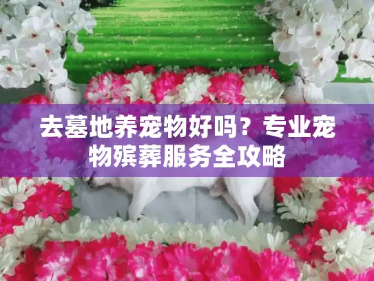 去墓地养宠物好吗？专业宠物殡葬服务全攻略