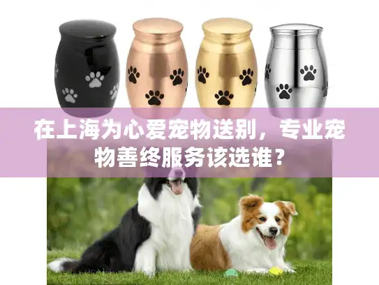 在上海为心爱宠物送别，专业宠物善终服务该选谁？