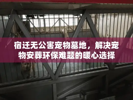 宿迁无公害宠物墓地，解决宠物安葬环保难题的暖心选择