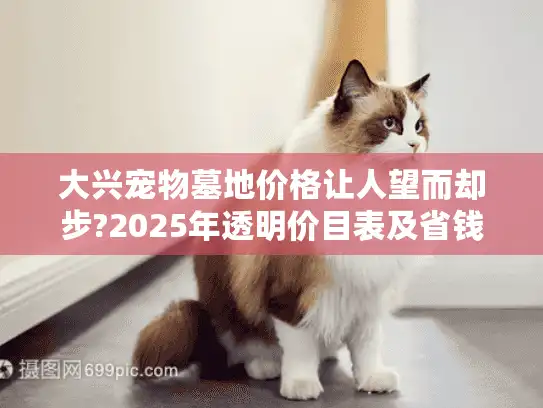 大兴宠物墓地价格让人望而却步?2025年透明价目表及省钱方案来了