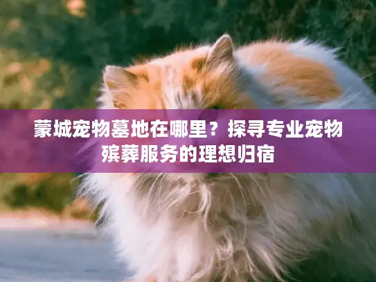 蒙城宠物墓地在哪里？探寻专业宠物殡葬服务的理想归宿