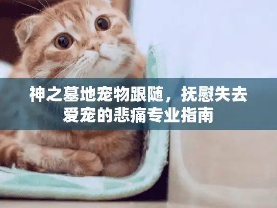 神之墓地宠物跟随，抚慰失去爱宠的悲痛专业指南
