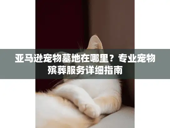 亚马逊宠物墓地在哪里？专业宠物殡葬服务详细指南