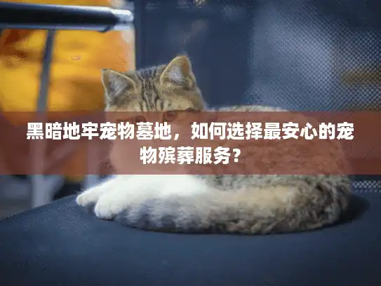黑暗地牢宠物墓地，如何选择最安心的宠物殡葬服务？