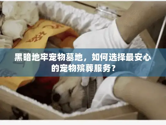 黑暗地牢宠物墓地，如何选择最安心的宠物殡葬服务？