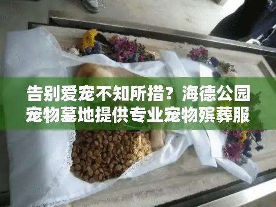 告别爱宠不知所措？海德公园宠物墓地提供专业宠物殡葬服务指南