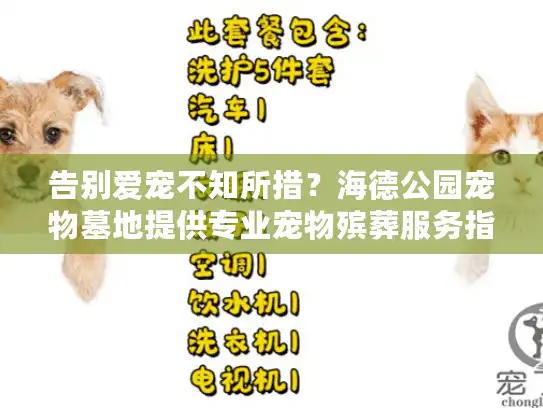 告别爱宠不知所措？海德公园宠物墓地提供专业宠物殡葬服务指南