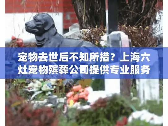 宠物去世后不知所措？上海六灶宠物殡葬公司提供专业服务帮助
