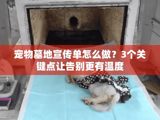 宠物墓地宣传单怎么做？3个关键点让告别更有温度