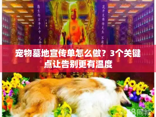 宠物墓地宣传单怎么做？3个关键点让告别更有温度