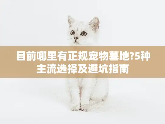 目前哪里有正规宠物墓地?5种主流选择及避坑指南