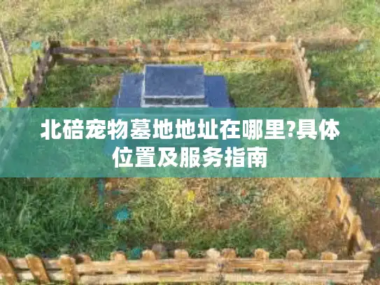 北碚宠物墓地地址在哪里?具体位置及服务指南