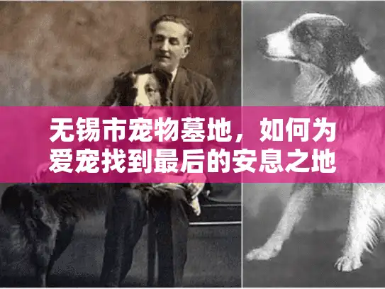 无锡市宠物墓地，如何为爱宠找到最后的安息之地？
