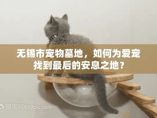 无锡市宠物墓地，如何为爱宠找到最后的安息之地？