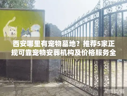西安哪里有宠物墓地？推荐5家正规可靠宠物安葬机构及价格服务全解析