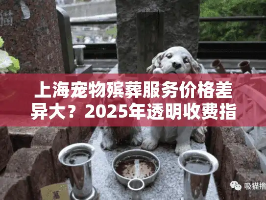 上海宠物殡葬服务价格差异大？2025年透明收费指南帮你避坑