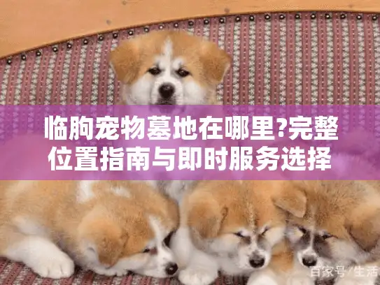 临朐宠物墓地在哪里?完整位置指南与即时服务选择方法