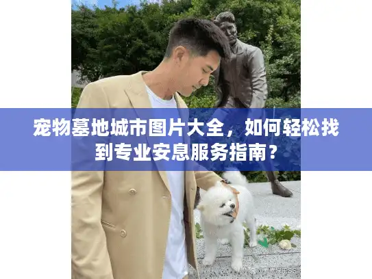 宠物墓地城市图片大全，如何轻松找到专业安息服务指南？