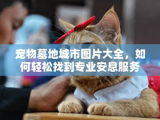 宠物墓地城市图片大全，如何轻松找到专业安息服务指南？
