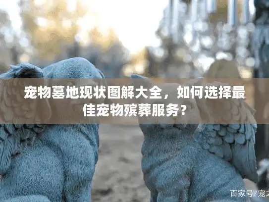 宠物墓地现状图解大全，如何选择最佳宠物殡葬服务？